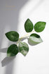 Floroom 35pcs Artificial Green Leaves Bulk Faux Silk Greenery for DIY Wedding Bouquets, Home Decorations