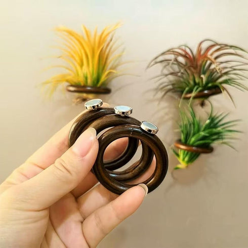 Lucciuky 6 Pcs Air Plant Holder Magnet - Brown Small Air Plant Display Stand Air Plant Hanging Plant Wall Mount Holder