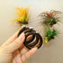 Lucciuky 6 Pcs Air Plant Holder Magnet - Brown Small Air Plant Display Stand Air Plant Hanging Plant Wall Mount Holder