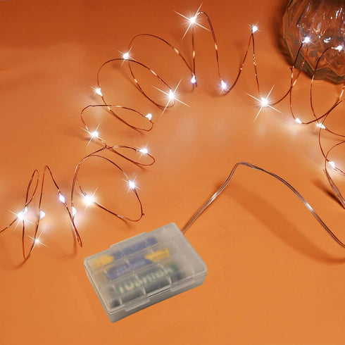 RUICHEN 16 Ft Copper Wire 50 LED Mini Fairy String Lights Battery