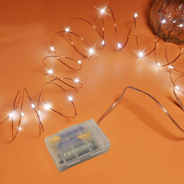 RUICHEN 16 Ft Copper Wire 50 LED Mini Fairy String Lights Battery