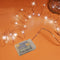 RUICHEN 16 Ft Copper Wire 50 LED Mini Fairy String Lights Battery