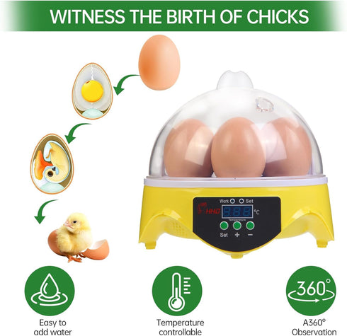 7-Egg 360 Mini Egg Incubator with View, Educational Hatching Kit for Kids, Classrooms & Families, Automatic Temperature