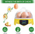 7-Egg 360 Mini Egg Incubator with View, Educational Hatching Kit for Kids, Classrooms & Families, Automatic Temperature