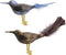 Department 56 Christmas Angel Ornament, Feathered Bird Clip, 2.5 inch (Set of 2)