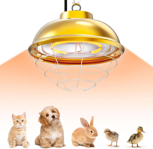 Micosong 300 Watt Heat Lamp for Chicken Coop, Hanging Chicken Coop Heater, Carbon