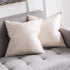MIULEE Pack of 2 Decorative Velvet Throw Pillow Covers, 20x20 Inch Cream White Cushion Case for Sofa