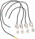 X Home 1836-13 Grill Igniter Kit for Weber Genesis 330 Model Gas Grills, Replacement for Weber Parts 7629