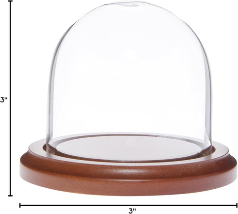 Plymor 3" x 3" Glass Display Dome Cloche with Walnut Base