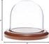 Plymor 3" x 3" Glass Display Dome Cloche with Walnut Base