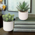 Briful Succulents Plants Artificial for Home Decor, Realistic Potted Fake Agave Plant, Cute Aloe Maguey Faux Plant
