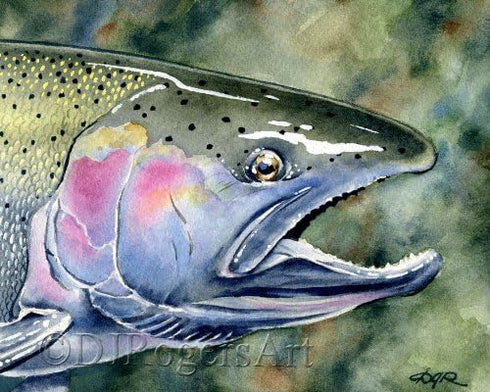 Steelhead Trout Fly Fishing Art Print by Watercolor Artist DJ Rogers