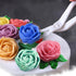4 Pack Cake Flower Decorating Set, Stainless Steel Flower Nails and Lifters for Icing Flowers Decoration