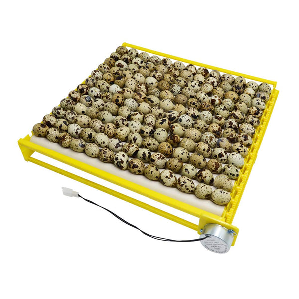 Huatuo HBtree Automatic Multifunction Incubator Egg Tray Turning Hatcher for Chickens/Ducks/Birds/Poultry13 Tubes