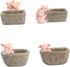 Yardwe Ceramic Planter, Unique Cactus Pot, Decorative Airplant Pot, Mini Container for Bonsai or Desk Topper
