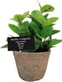 Esschert Design Artificial Herb Plant, Large Mint, AH004