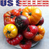 Harley Seeds 30 16 This is A Mix Rainbow Deluxe Tomato Seeds Mix Varieties, Heirloom Non-GMO, Indeterminate, Old