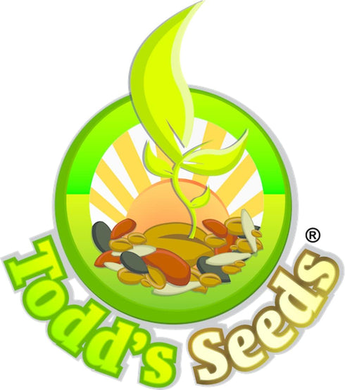 1 Todd's Seeds Red Russian Kale Seed - Pound