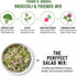 (1/4 Todd's Seeds Broccoli and Friends Sprouting Seed Mix: Broccoli, Crimson Clover, Red Radish, Alfalfa, Non-GMO