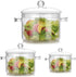 Cangfort Glass Cooking Pot - 2L/67oz Heat-Resistant Borosilicate Glass Handmade Cookware Set stovetop