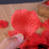 Rose Tealight Candles, 12 Pieces Handmade Delicate Flower Candles with 100PCS Silk Rose Petals for Weddings,