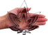 Hemp Marijuana Leaf Cookie Cutter Set - Sharp Stainless Steel Cooking Utensils, 3-Piece Bakery Supplies
