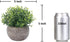 HC STAR Artificial Mini Fake Plant - Potted Decorative Lifelike Green Plants for Indoor and Outdoor Room Decor