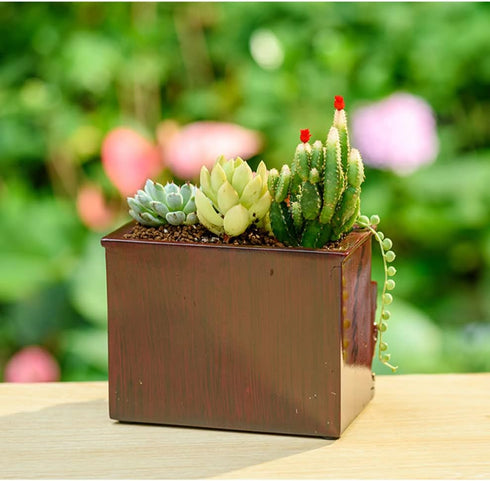 Wooden Pots, Mini Flowerpot, Retro Resin Succulent Planter Bonsai Pot Desk Holder Mini Ornament (Piano Black)