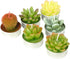 Cactus Tealight Candles, Handmade Delicate Succulent Candles, Perfect for Birthday Party, Wedding, Spa, Home Decor