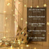 Star String Lights 10Ft, 20 LED Fairy Lights, Battery Operated Waterproof Indoor Outdoor Twinkle Christmas Lights