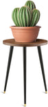(11.8"x16") KINNARY Plant Stand Indoor, Mid Century Wood Plant Stand Plant Table for Flower Pots, Heavy Duty Metal Tall