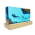 Simulated Ocean Landscape Whale Shark Diver Night Light, Handmade Resin Solid Wood Art Decor for Home Decoration