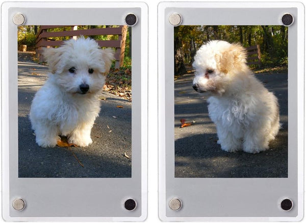 2 PCS 3-inch 2-Sided Clear Acrylic Magnetic Photo Frame, Elegant Frameless Display for Fujifilm Mini Film