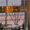 Mo&Ka 2 Pack Branch Lights - Battery Powered Decorative Lights, 29 Inches, 20 LED Lights
