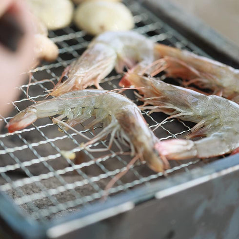 Stainless Steel BBQ Grill Rack Grids for Roasting or Baking, Oven & Dishwasher Safe