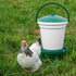1 5 Premier Quick Clean Bucket Waterer for Chickens & Poultry - Gallon (White, Green, No Legs)