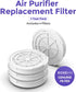 1-Year Pack Air Purifier Replacement Filter for AP001R, True HEPA Filter, 4 Pack