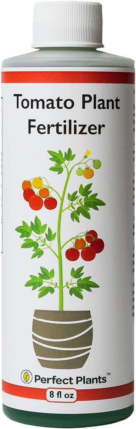 Perfect Plants Tomato Plant Fertilizer in 8oz. Bottle | Help Your Vegetable