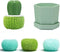 Dish and Pot Cleaning Brush with Holder Kitchen Cleaner Dish Scrub Brushes