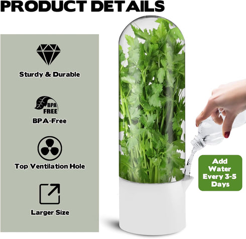 Sibosen 3 Pack 2-3 Herb Saver for Refrigerator Large Fresh Herb Keeper Cilantro Container for Refrigerator Vegetable