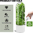 Sibosen 3 Pack 2-3 Herb Saver for Refrigerator Large Fresh Herb Keeper Cilantro Container for Refrigerator Vegetable