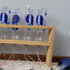 BASE WAVE Cap|4 Pack| Brine Shrimp DIY Baby Brine Shrimp Hatchery Caps for Soda Bottleas Cola Bottle