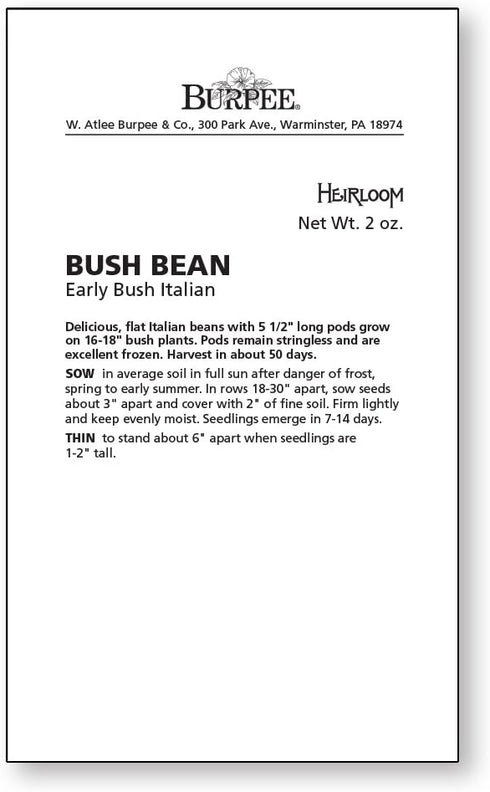 2 Burpee Early Italian Bush Bean Seeds ounces of seed