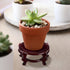 2 4 12 Decor(6 Inch) Geetery Pcs to in Wooden Plant Stands Indoor Chinese Oriental Plant Stand for Vase Fishbowl Flower