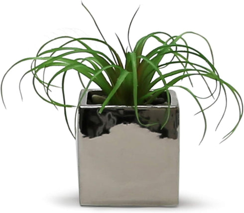 WGV Ceramic Cube Vase, 5.5" Width, 5" Height, Elegant Modern Block Floral Planter, Silver, 1 Piece