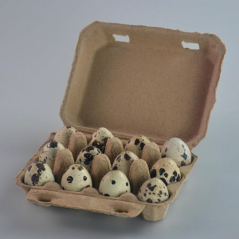 50 3 4 Dozen 12 Count JEUIHAU PCS Quail Egg Pulp Cartons Bulkj, x Square Paper Pulp Quail Eggs Cartons Cheap Bulk, Egg