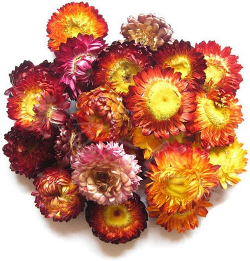 TooGet 9 Bags Set of Fragrant Dried Flowers and Herbs for Soap, Bath Bombs Making, and Crafts Decorations
