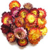 TooGet 9 Bags Set of Fragrant Dried Flowers and Herbs for Soap, Bath Bombs Making, and Crafts Decorations