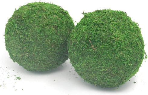 Nice purchase Handmade Natural Green Plant Moss Balls for Home Party Display Decor Props (6 in)