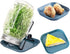 TONGNENGLIU Stand(C-4Pcs Stainless Steel Sprouting Stands, Tray,For Wide And Regular Canning Jars Holder,For Make